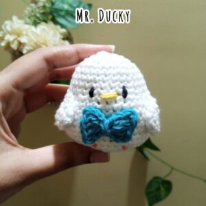 Mr. Duck