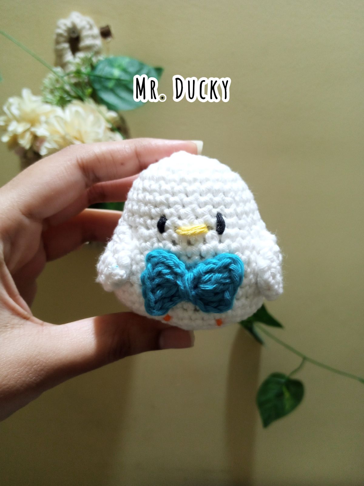 Mr. Duck